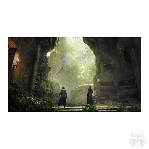 بازی Hogwarts Legacy مخصوص PS5